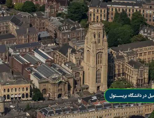 دانشگاه بریستول